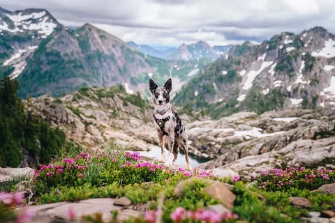 expeditionego Instagram post about Northern Washington hike