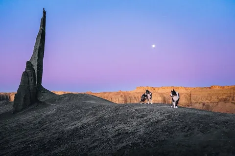 expeditionego Instagram post about Desert sunrise adventure