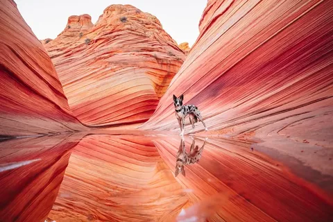 Ego Entitled Exquisite Instagram post thumbnail