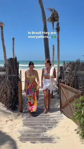 explorerssaurus_ Instagram post about Brazil travel