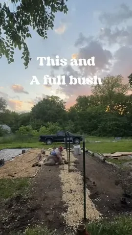 fatgirlflow Instagram post about Social and community values