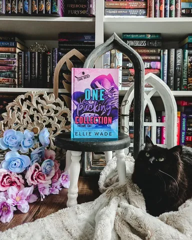 fearyourex Instagram post about One Pucking Love book feature