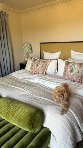 fernemccann Instagram post about Home interiors