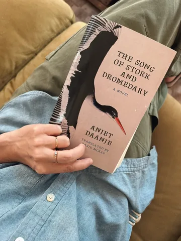 fictionmatters Instagram post about Advance book recommendation