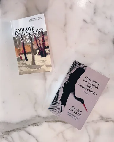 fictionmatters Instagram post about Books about life and death
