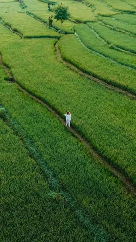 find.a.palmtree Instagram post about Bamboo house stay in Bali