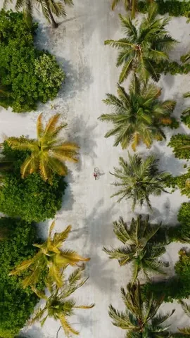 find.a.palmtree Instagram post about Villa Nautica Maldives experience