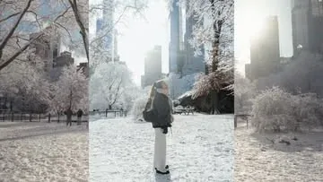 find.a.palmtree Instagram post about Central Park in winter