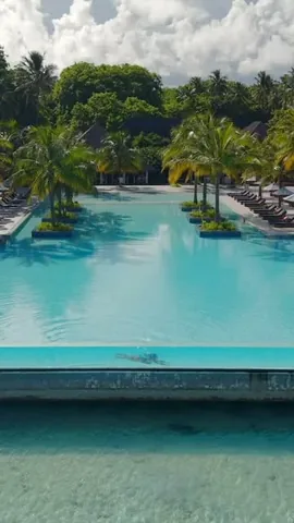 find.a.palmtree Instagram post about Return to travel content