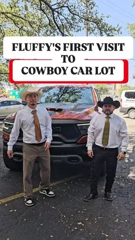 fluffyguy Instagram post about Comedy entertainment