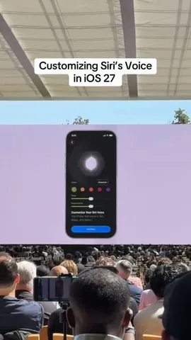 frankmcshan Instagram post about Siri customization