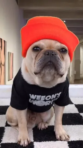 frenchieandthenews Instagram post about Nostalgia