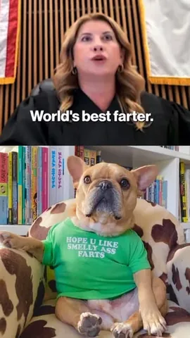 frenchieandthenews Instagram post about Humor