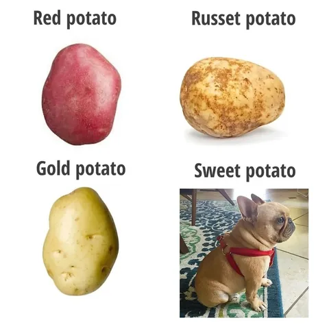 frenchieandthenews Instagram post about Food