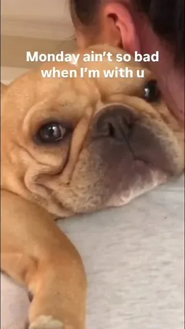frenchieandthenews Instagram post about Daylight saving time