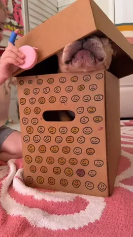 frenchieandthenews Instagram post about Personality