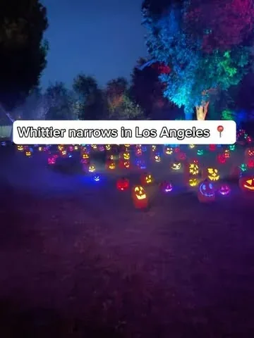 gavinduh Instagram post about Magic of the Jack O'Lanterns