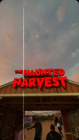 GAVIN DUH Instagram post thumbnail