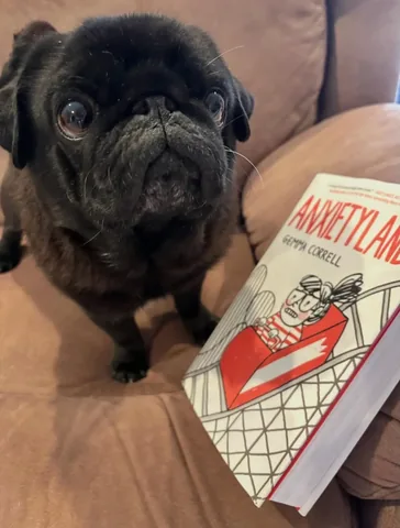 gemmacorrell Instagram post about Anxietyland artwork