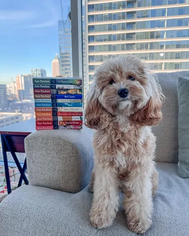 gissellereads Instagram post about Ann Patchett book collection