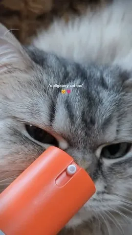 glamorable Instagram post about Sunscreen demonstration