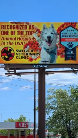 gonetothesnowdogs Instagram post about Memphis billboard tribute
