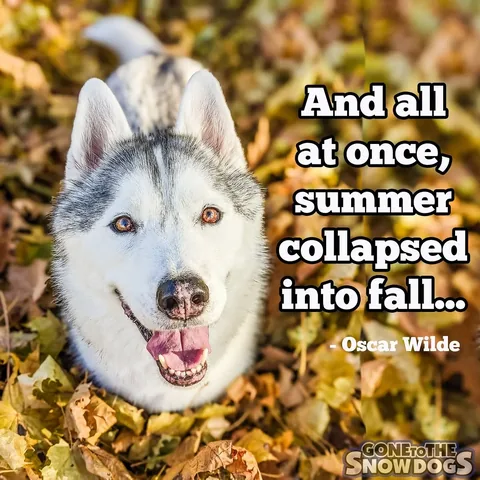 gonetothesnowdogs Instagram post about Fall camping plans
