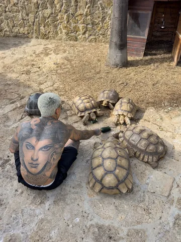 gonolivier Instagram post about Personal lifestyle