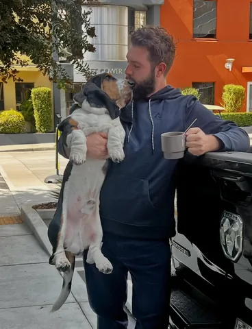 gotewan Instagram post about Basset hound