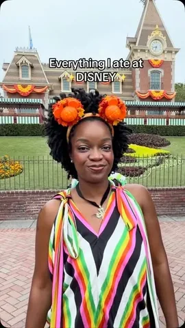 grace_africa Instagram post about Disneyland visit