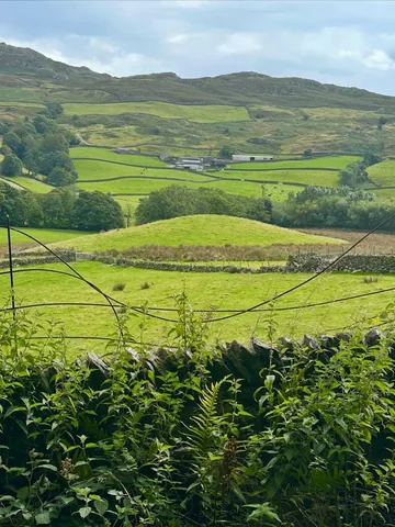 greyfoxstyle Instagram post about Landscape