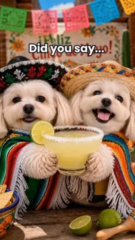 hammyandbrody Instagram post about Margarita themed humor