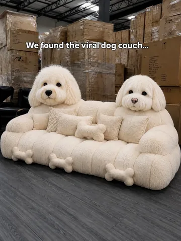hammyandbrody Instagram post about Dog themed furniture