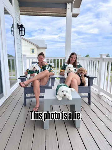 Viral Dog Duo | Maltipoo & Maltese | Funny Dog Reels Instagram post thumbnail