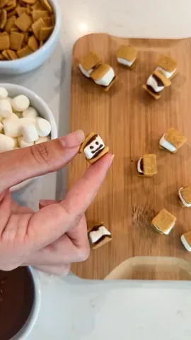 hannahmarieden Instagram post about Mini s’mores