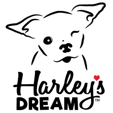 harleypuppymilldog Instagram post about Animal welfare principles