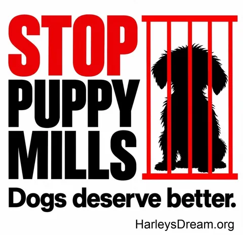 harleypuppymilldog Instagram post about Puppy mill advocacy