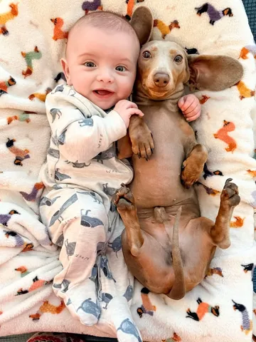 harlowandsage Instagram post about Pet friendship