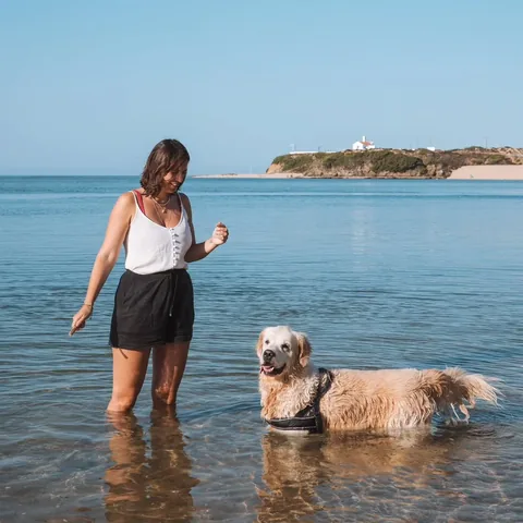 hasolemar Instagram post about Luto por animal de estimação