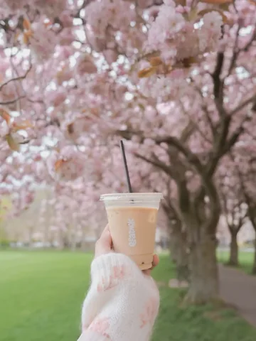 hayaisreading Instagram post about Spring lifestyle