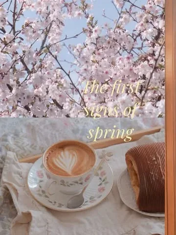 hayaisreading Instagram post about Spring activities