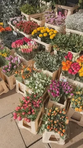 hayaisreading Instagram post about First signs of spring
