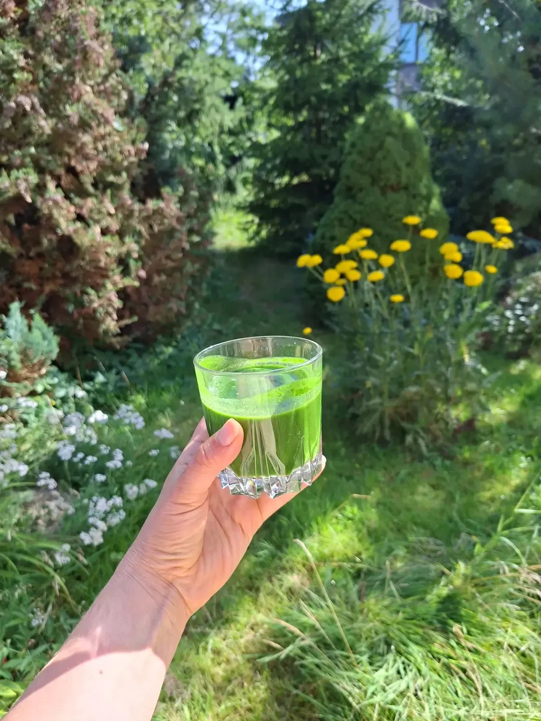 healthwithnora Instagram post about Parsley nutrition