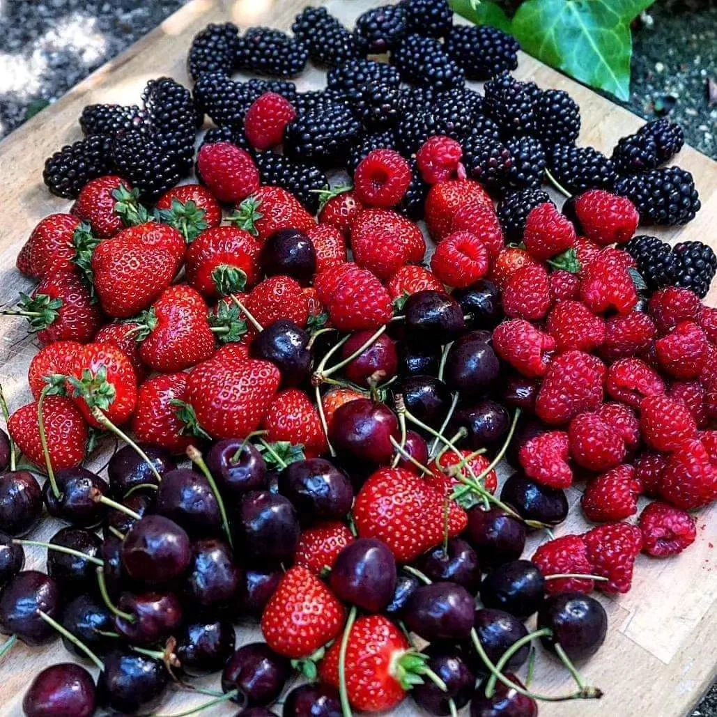 healthwithnora Instagram post about Organic berries and nutrition