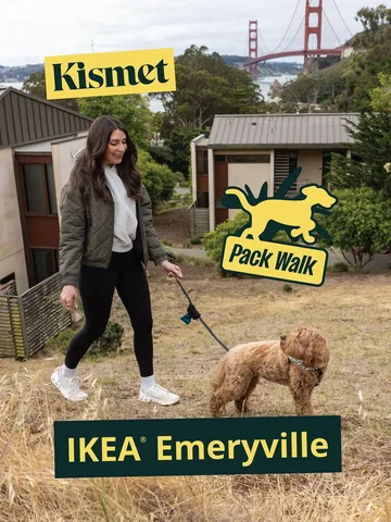 hellorubydoodle Instagram post about Pack walk event