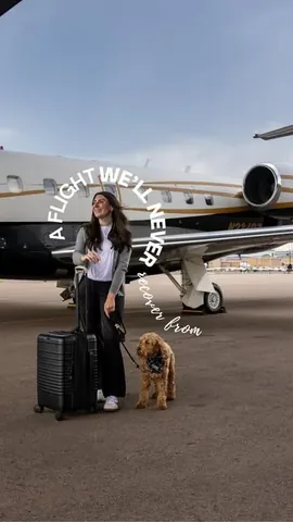 hellorubydoodle Instagram post about Dog friendly airline review