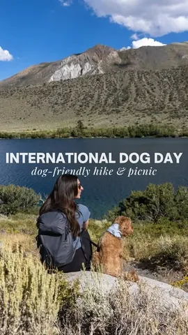 hellorubydoodle Instagram post about Dog Day gift set