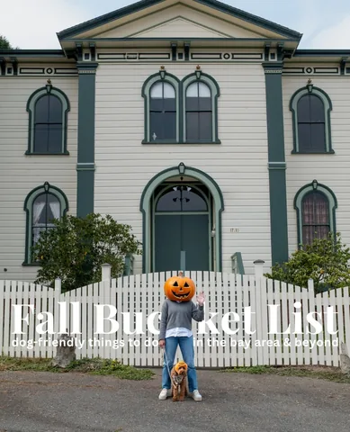 hellorubydoodle Instagram post about Dog friendly fall activities