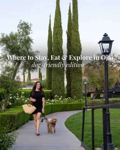 hellorubydoodle Instagram post about Dog friendly Ojai travel