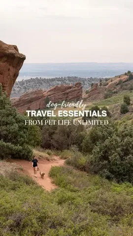 hellorubydoodle Instagram post about Dog travel products